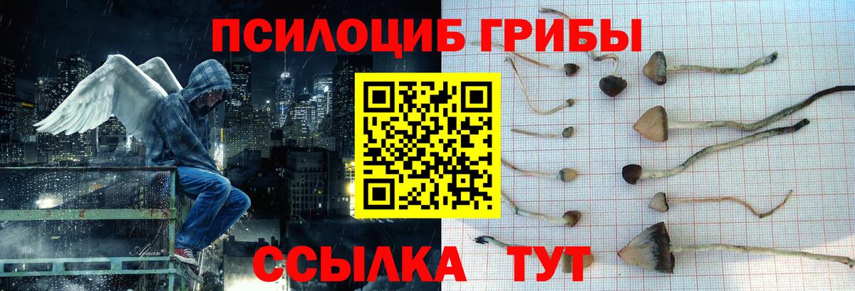 Протвино  Галлюциногенные грибы Psilocybine cubensis  дарнет шоп  Вход с VPN 