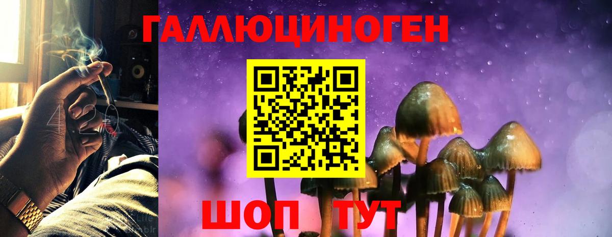 Псилоцибиновые грибы Cubensis Протвино